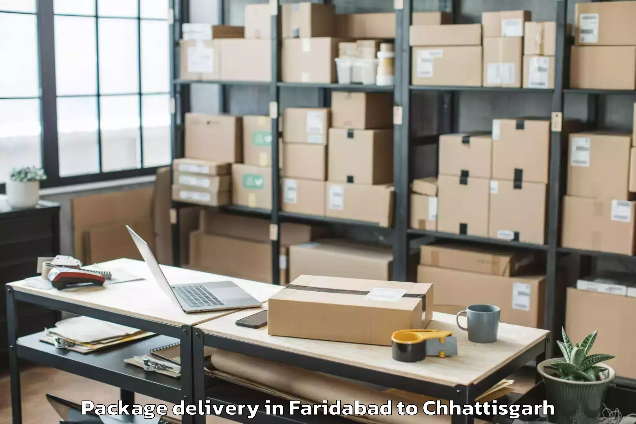 Expert Faridabad to Chhattisgarh Swami Vivekananda Package Delivery